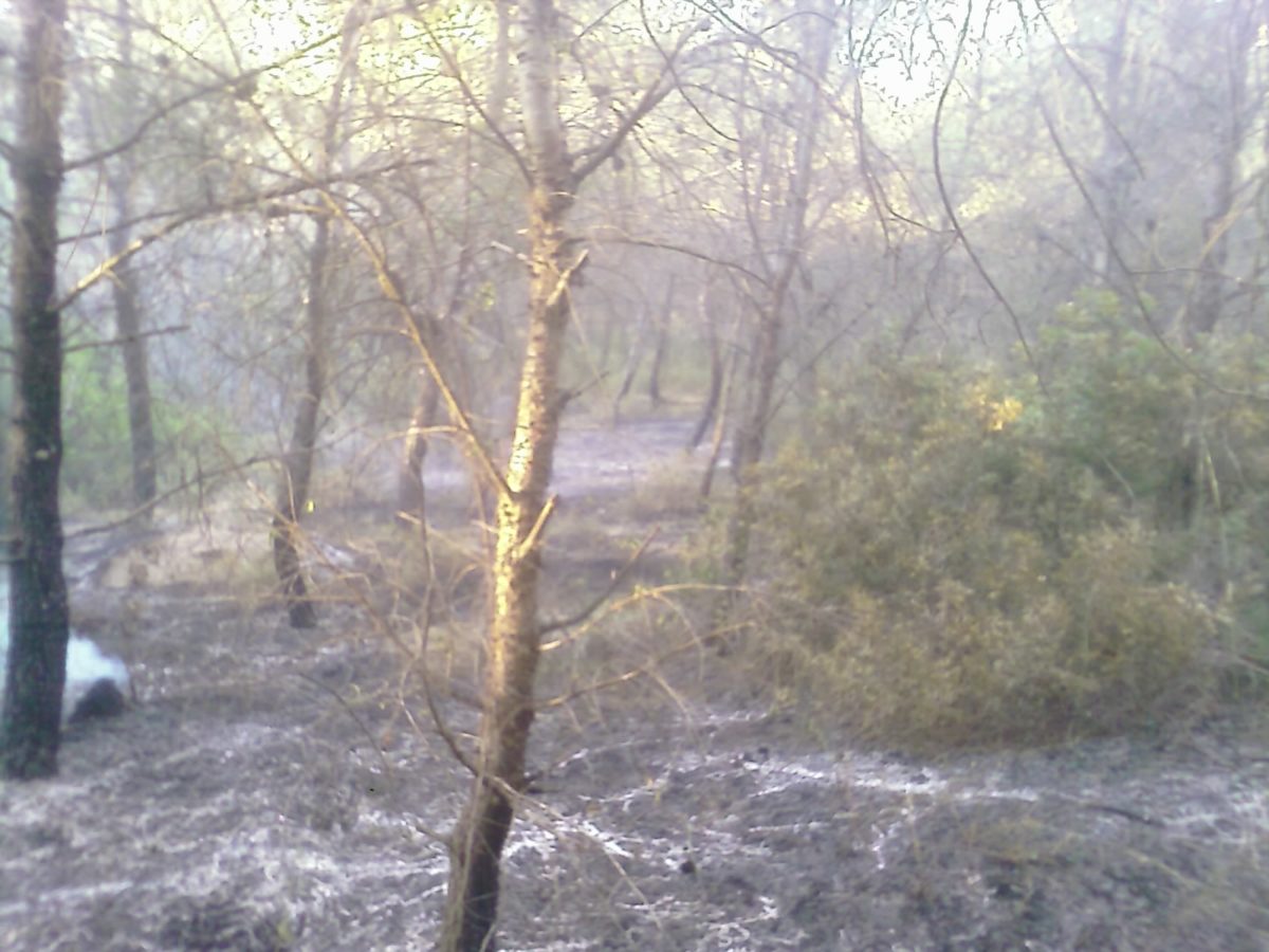 Anno 2009 – Incendio Patemisco