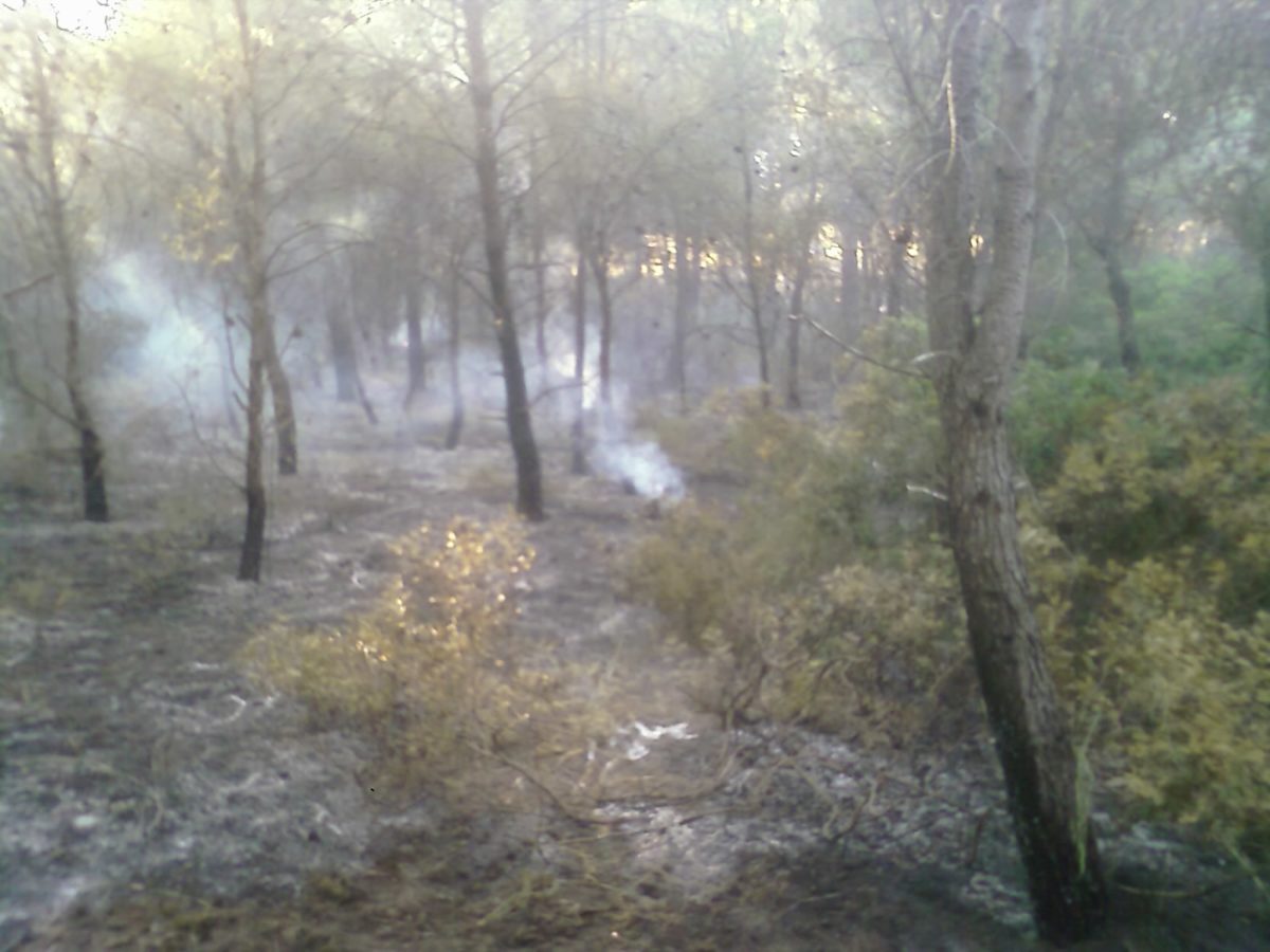 Anno 2009 – Incendio Patemisco