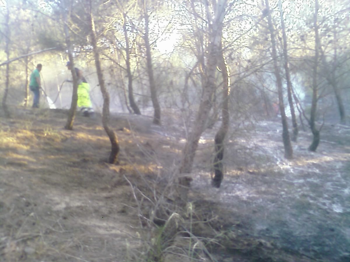 Anno 2009 – Incendio Patemisco
