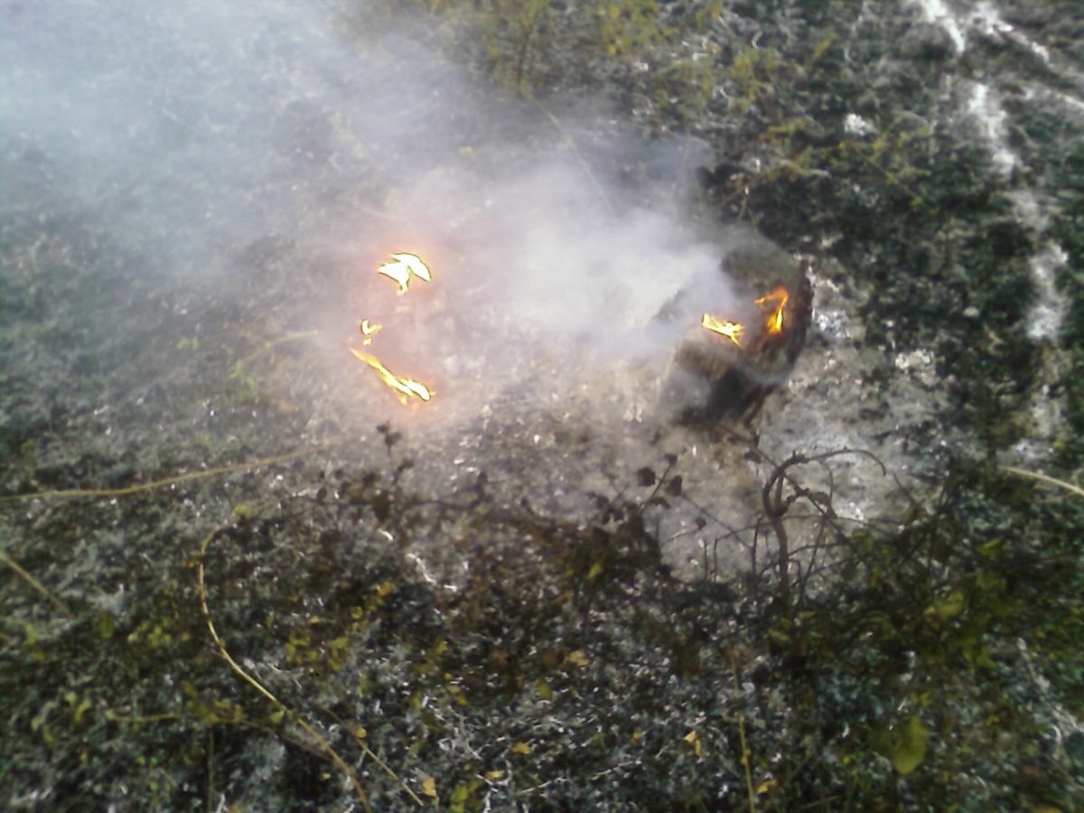 Anno 2009 – Incendio Patemisco