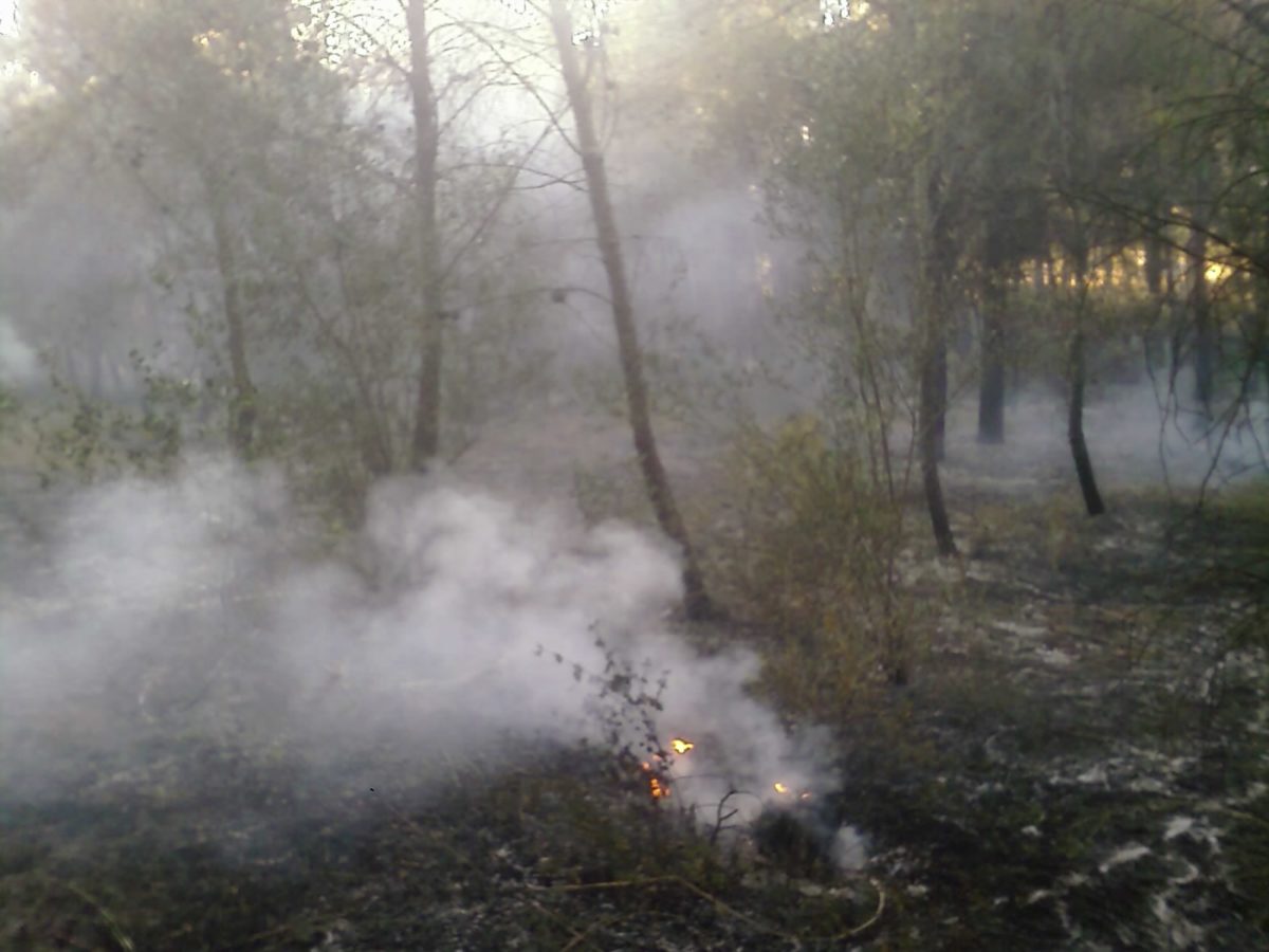 Anno 2009 – Incendio Patemisco