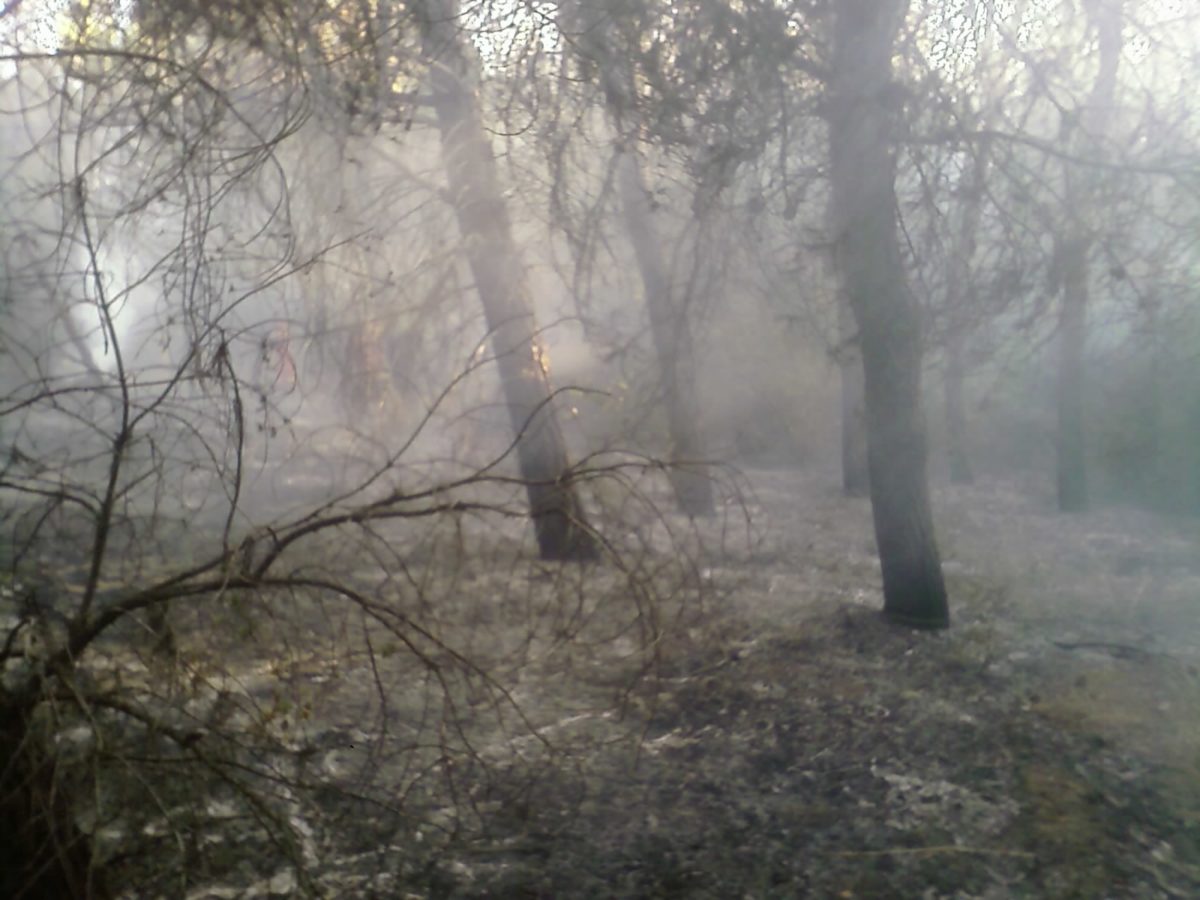 Anno 2009 – Incendio Patemisco