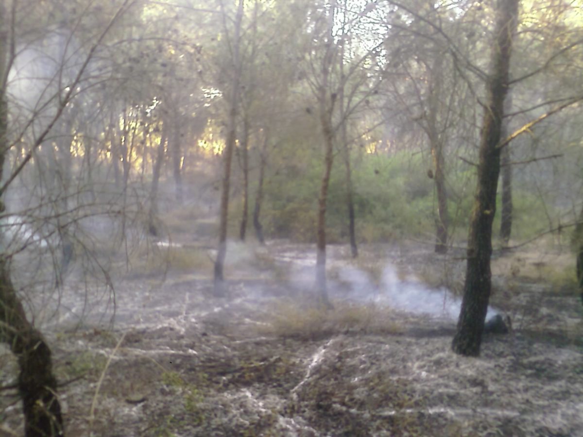 Anno 2009 – Incendio Patemisco