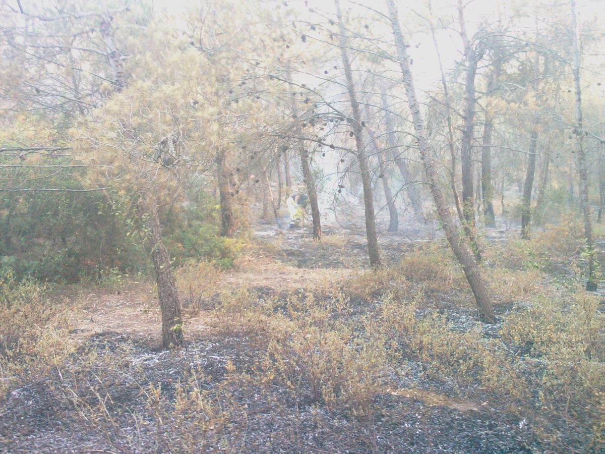 Anno 2009 – Incendio Patemisco