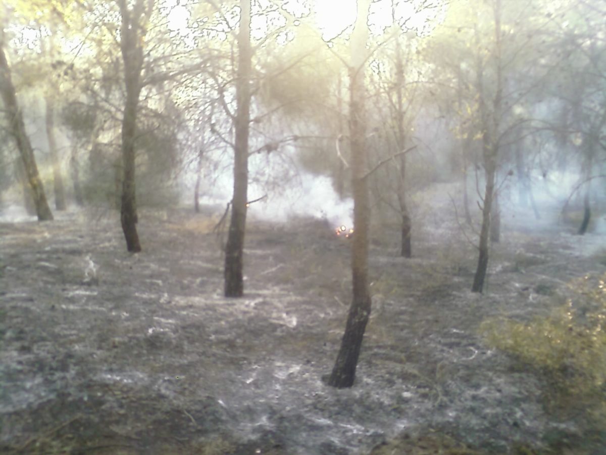 Anno 2009 – Incendio Patemisco